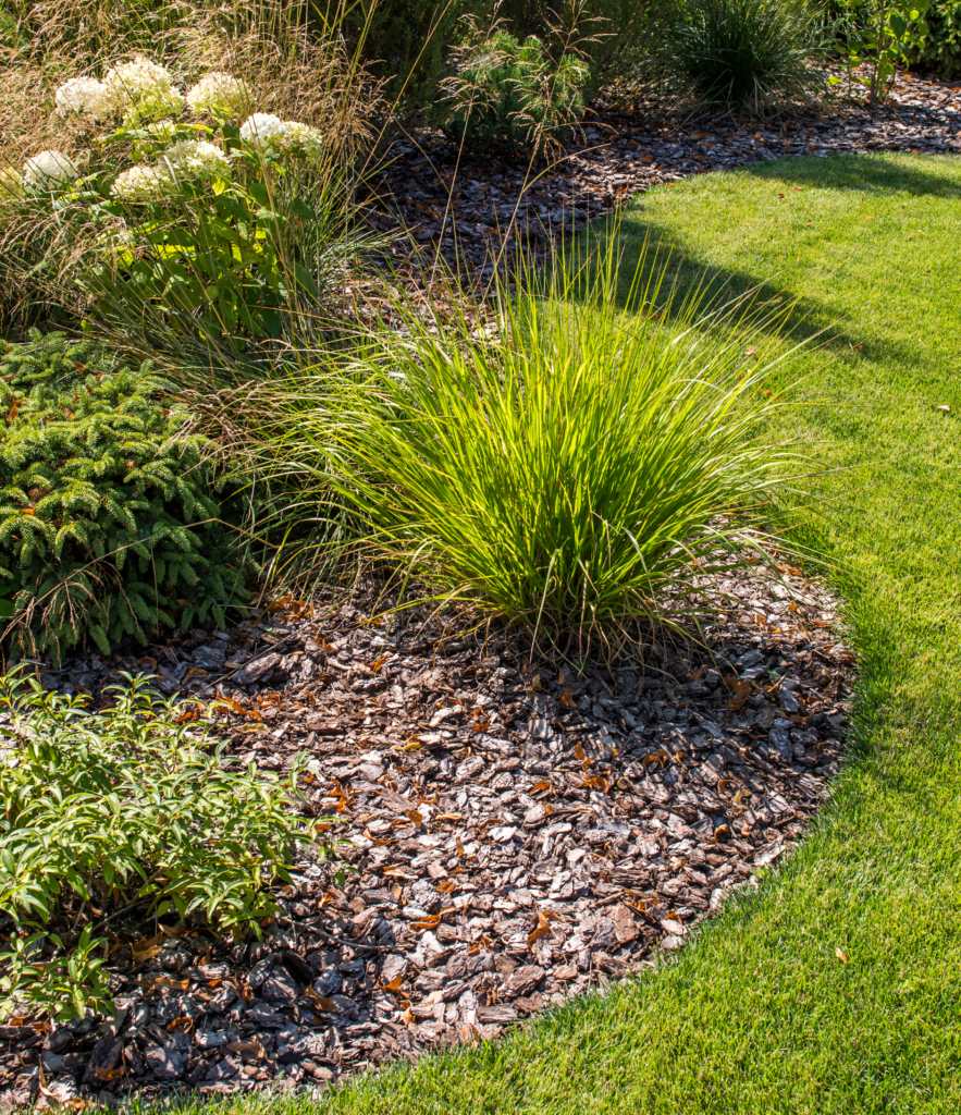 Gartenbeet Ansicht