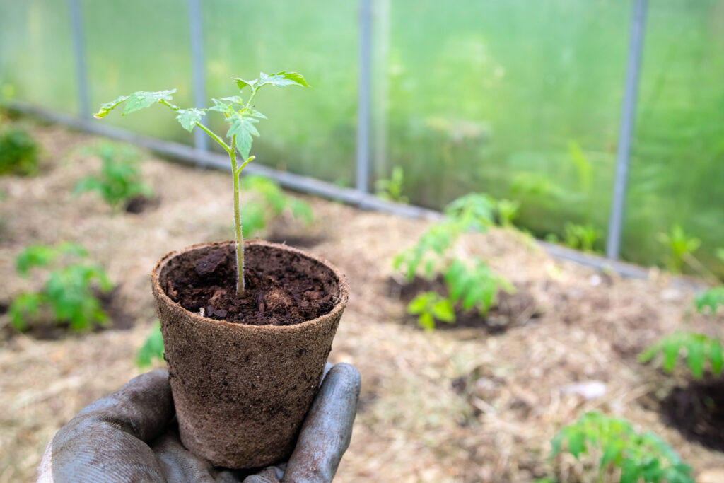 Gartenprodukte